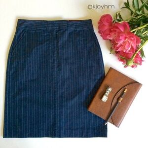 Talbots Dark Blue Striped Pencil Skirt